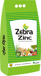 Zebra Zinc