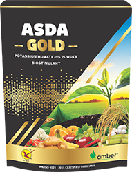 Asda Gold