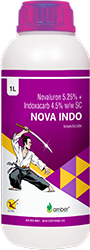 Nova-Indo