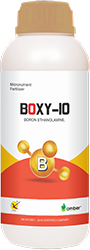 Boxy-10